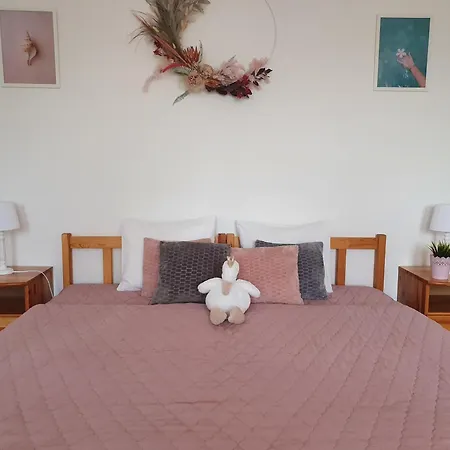 Pinkóczi